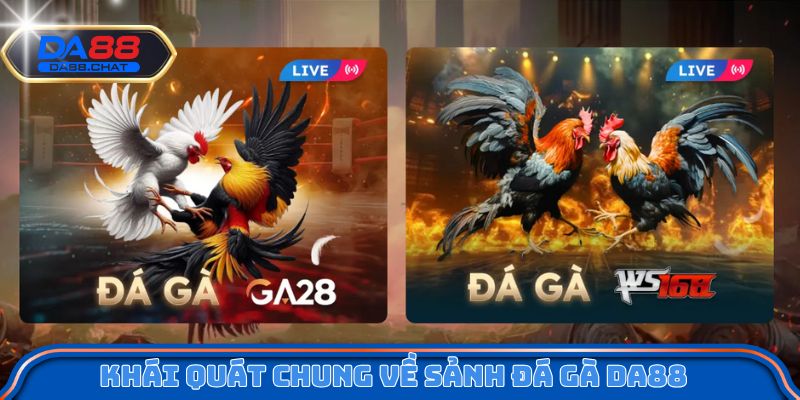Khái quát chung về sảnh đá gà DA88